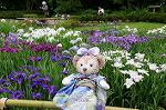Dcim8012/DSC_2811
