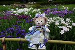 Dcim8012/DSC_2813