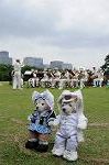 Dcim8013/DSC_2874