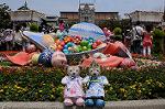 Dcim8025/DSC_3800