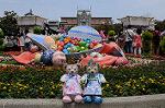 Dcim8025/DSC_3802