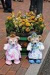 Dcim8026/DSC_3866