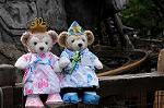 Dcim8027/DSC_4100