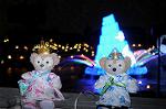 Dcim8029/DSC_4415