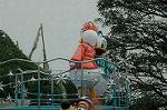 Dcim8054/DSC_3450