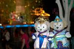Dcim8055/DSC_3609
