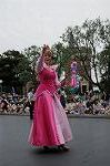 Dcim8057/DSC_7295