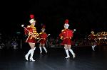 Dcim8067/DSC_8676