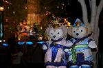 Dcim8071/DSC_9246