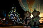 Dcim8073/DSC_3857