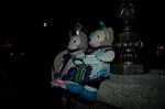 Dcim8073/DSC_3894