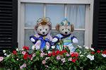 Dcim8076/DSC_9654