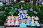 Dcim8077/DSC_9802