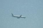 Dcim8082/DSC_4132