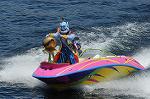 Dcim8087/DSC_0579