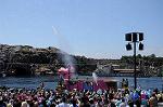 Dcim8089/DSC_0899