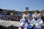 Dcim8090/DSC_0958