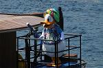 Dcim8091/DSC_1224