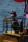 Dcim8093/DSC_1419