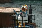 Dcim8099/DSC_4623