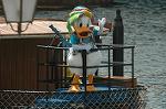 Dcim8099/DSC_4624