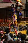 Dcim8103/DSC_2413