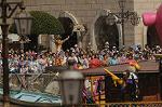 Dcim8104/DSC_2439