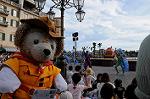 Dcim8106/DSC_2703