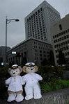 Dcim8108/DSC_2947