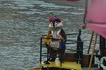Dcim8109/DSC_4806