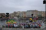 Dcim8113/DSC_3211