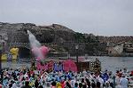 Dcim8114/DSC_3367
