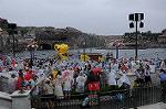Dcim8114/DSC_3391