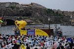 Dcim8115/DSC_3434