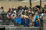 Dcim8149/DSC_5493