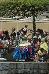 Dcim8149/DSC_5557