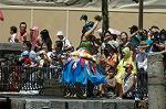 Dcim8151/DSC_5784