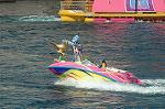 Dcim8153/DSC_6098