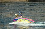 Dcim8153/DSC_6101