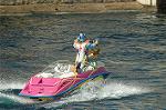Dcim8153/DSC_6103