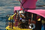 Dcim8153/DSC_6105