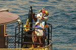 Dcim8153/DSC_6113