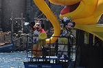 Dcim8160/DSC_8252