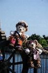 Dcim8161/DSC_8530