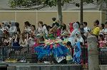 Dcim8171/DSC_6433