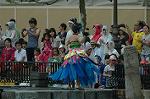 Dcim8171/DSC_6471