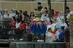 Dcim8171/DSC_6531