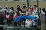 Dcim8171/DSC_6551