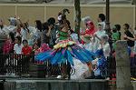Dcim8171/DSC_6553