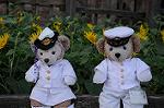 Dcim8181/DSC_0802